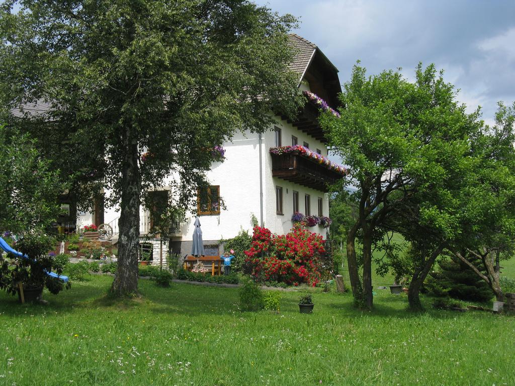 Haus Pfarrkirchner Mauterndorf (Salzburg) Exterior foto